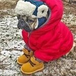 Виталий